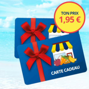 Lidl Gift Card €500 FR