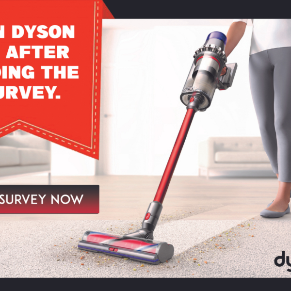 Dyson V11 Lowe's Lander US