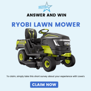 Lowe's Ryobi Lawn Mower US